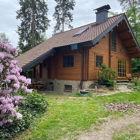 Waldhaus Eichhoernchen Bad Schmiedeberg Exterior foto