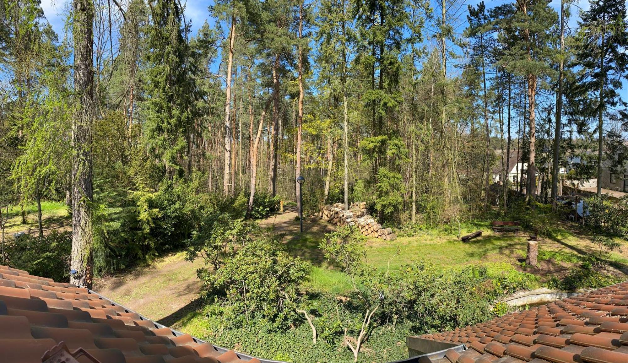 Waldhaus Eichhoernchen Bad Schmiedeberg Exterior foto
