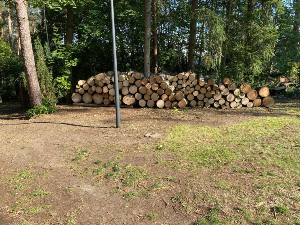 Waldhaus Eichhoernchen Bad Schmiedeberg Exterior foto