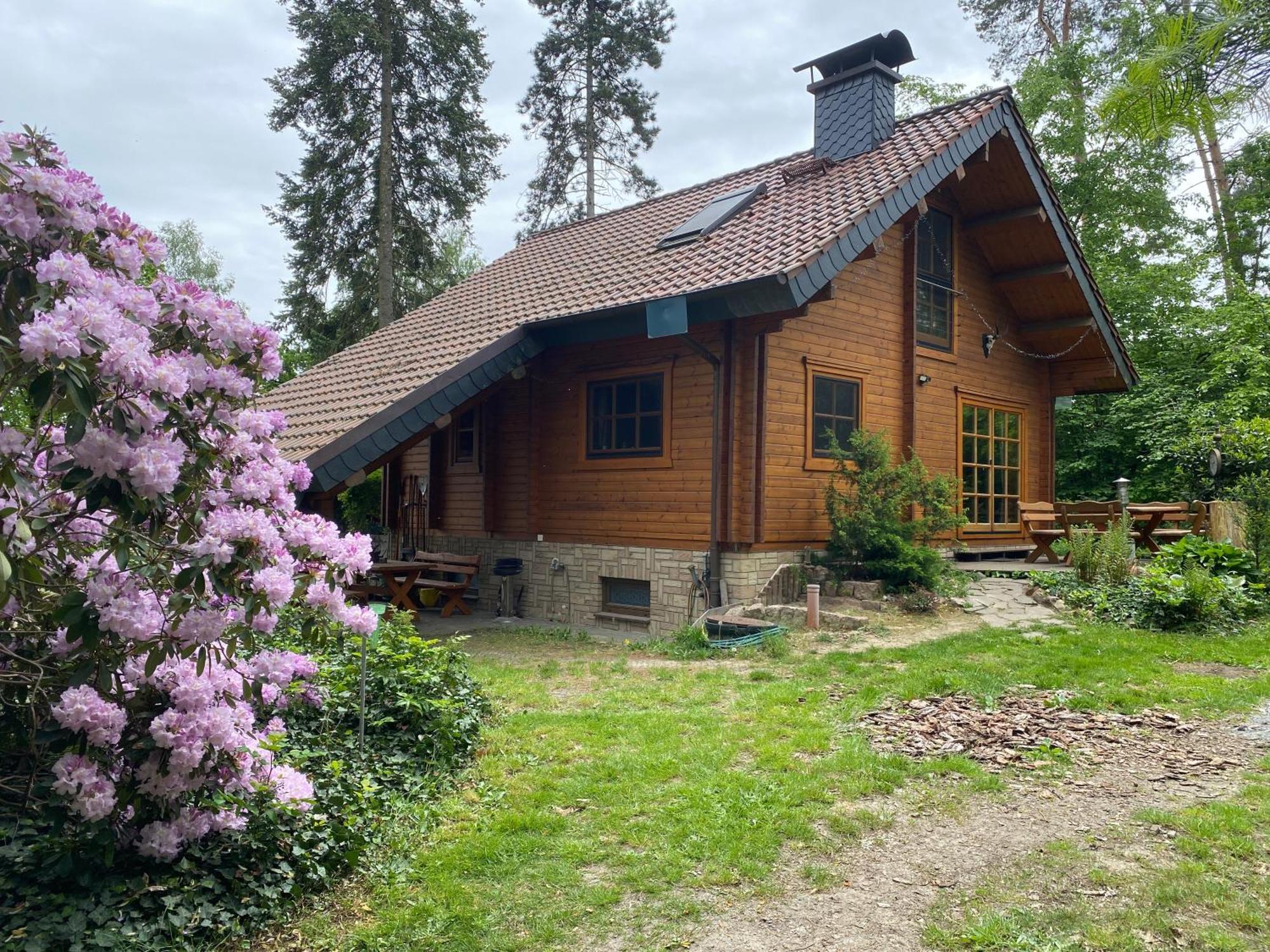 Waldhaus Eichhoernchen Bad Schmiedeberg Exterior foto